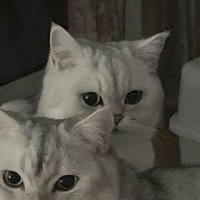 Аватар Mikoyare
