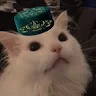 Аватар Илья_2