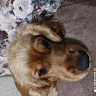 Аватар Андрій Климчук
