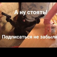 Аватар Платон Селезнв