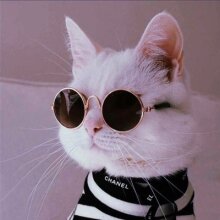 Аватар Владимиров Михаил