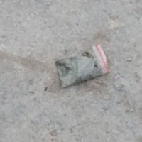 Аватар Никита Болотов