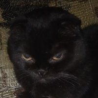 Аватар Евгений Дождиков