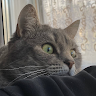 Аватар snezhka