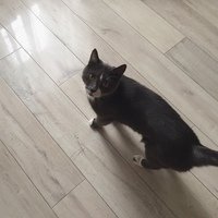 Аватар Арсений Афонин