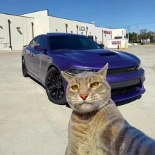 Аватар LavPredator