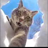 Аватар TUHJGHJT