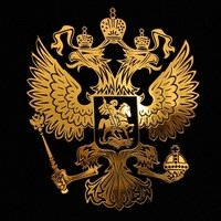 Аватар Николай Котов