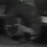 Аватар Саша Клищ