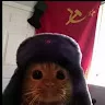 Аватар Josev (Josev)