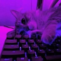 Аватар Данил Гвинский