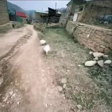 outsiderski