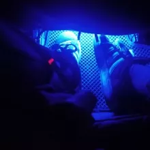 Аватар للأبد الشباب