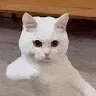 Аватар Павел