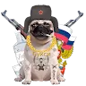 Аватар Букси