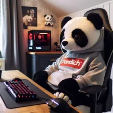 Аватар Pandich_Official