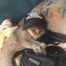 Аватар Vickerß Blëw