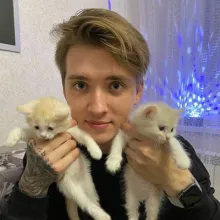 Аватар Никита Васильев
