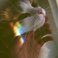 Аватар Александр Виноградов