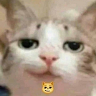 Аватар This is Dimed