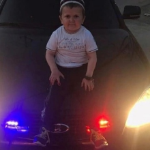 Аватар Влад Альфард