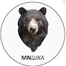 Аватар AngryBearCub