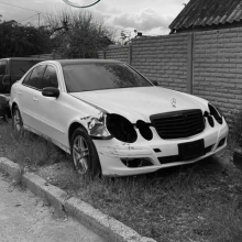 Аватар Холди Татарский