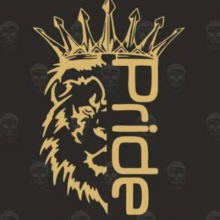 Аватар Sanya Pride