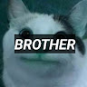 Аватар BrotheR