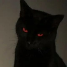 Аватар Firas.exe