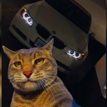 Аватар Patrick