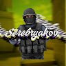 Аватар serebryakov