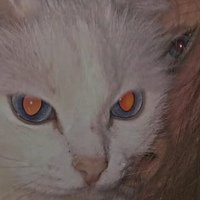 Аватар Ярослав Шестаков