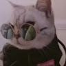 Аватар Humbug