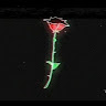 Аватар REL1G1ON