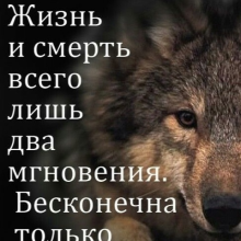 Аватар Максим Переверзев