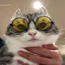 Аватар Сергей Копылов
