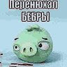 Аватар BIG RUSSIAN BEBRA