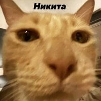 Аватар nifz