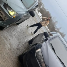Аватар Игорь Брянский