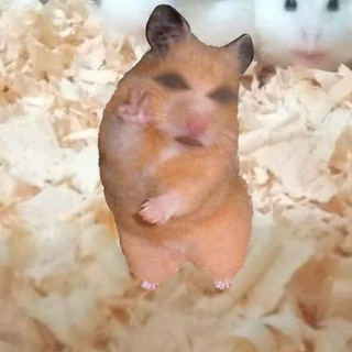 Аватар denis_7770