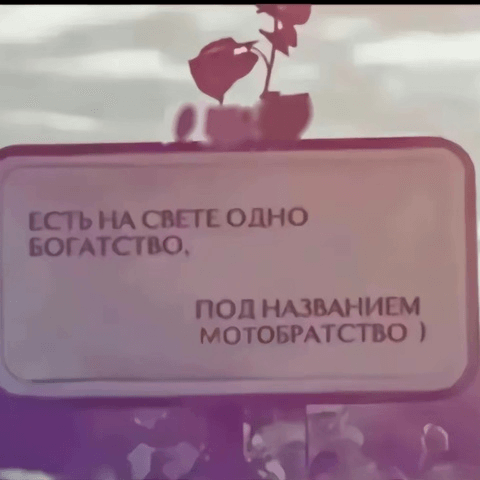 Аватар Тимофей Турушев