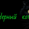 Аватар Tsukiyama .online