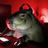 Аватар Алексей Харламов (Cool_Capybara228)