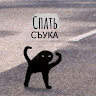 Аватар desert seva