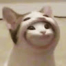 Аватар seshdary