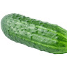 Аватар Khamzi_02