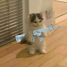 Аватар kiza