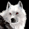 Аватар Wolfix w