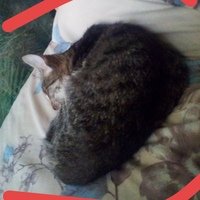 Аватар Даня Изотов